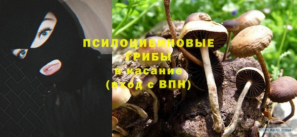 эйфоретик Абинск