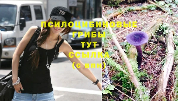 дмт Алзамай